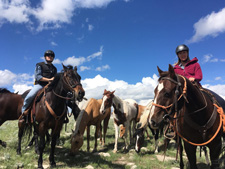 USA-Idaho-Medicine Lodge Horse Drive